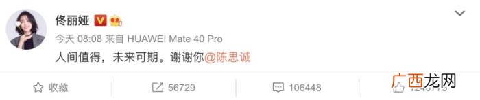 陈思诚资产，佟丽娅离婚可以分到陈思诚多少资产