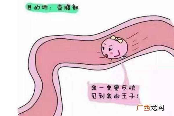 排卵期是哪几天 排卵日有什么症状或感觉