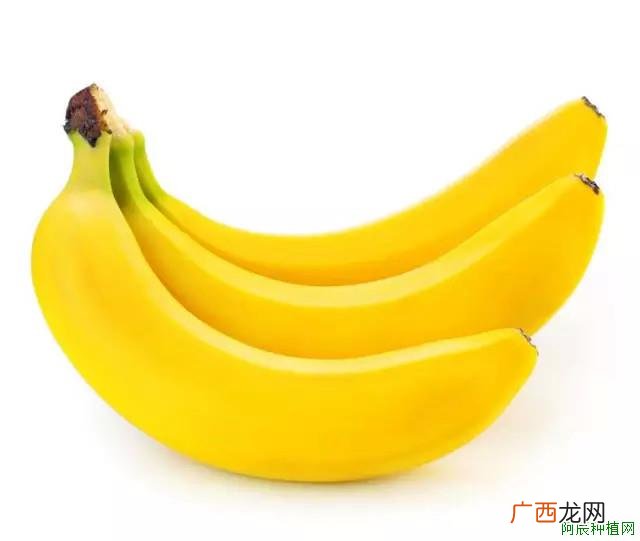 山楂秋季怎么管理？需要注意什么
