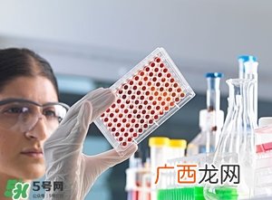 婴儿性别什么时候确定 婴儿性别是什么决定的