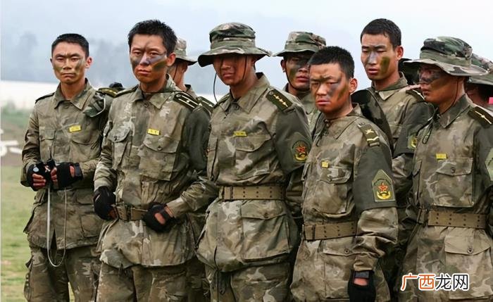 邢佳栋张译，张译、邢佳栋、段奕宏、张国强能回来吗