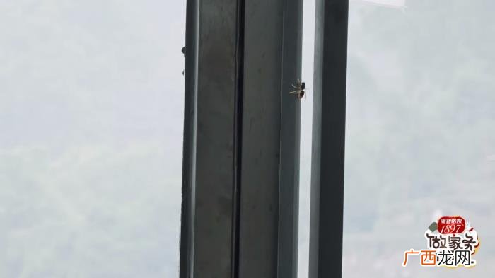 郭麒麟同居，家务男来袭~郭麒麟、范丞丞开启同居生活