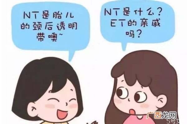 nt检查可以什么时候做 nt检查什么时候做最准确