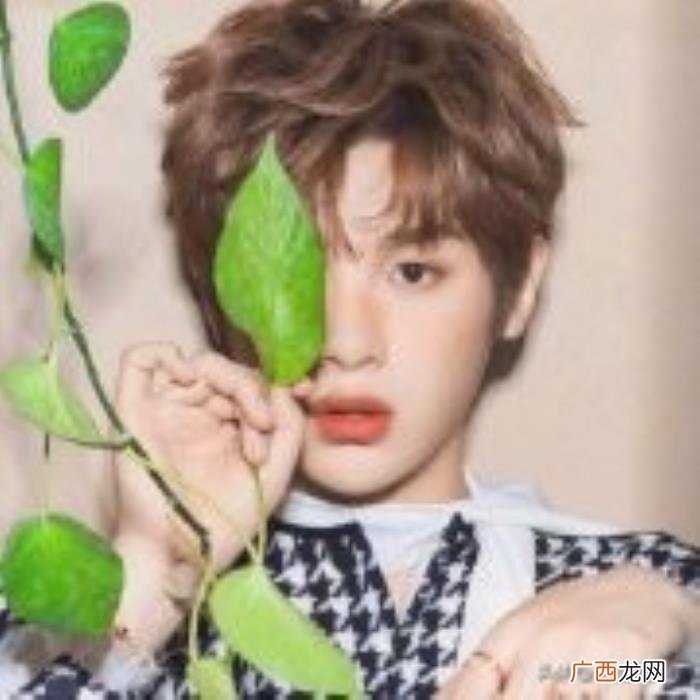 杨洋接综艺，花少2后时隔五年杨洋再接综艺常驻