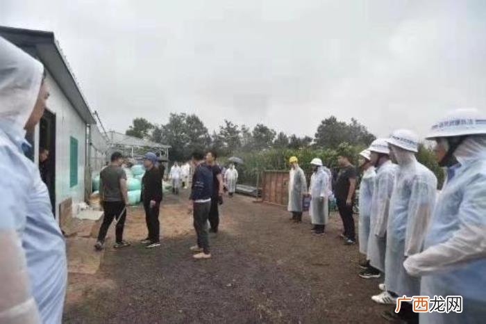 夏县胡张乡,夏县胡张乡11家违法建筑被强制拆除