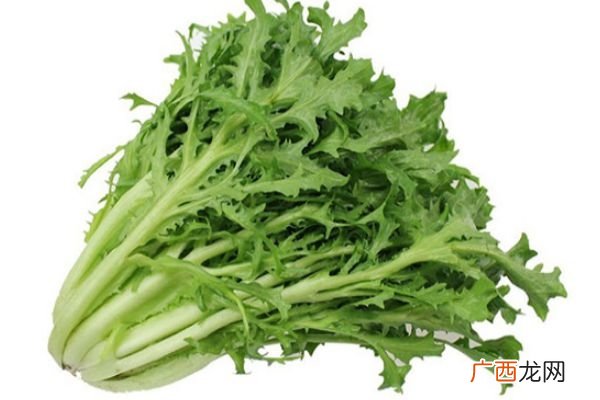 孕妇能吃苦菊吗 孕妇适量吃苦菊有好处