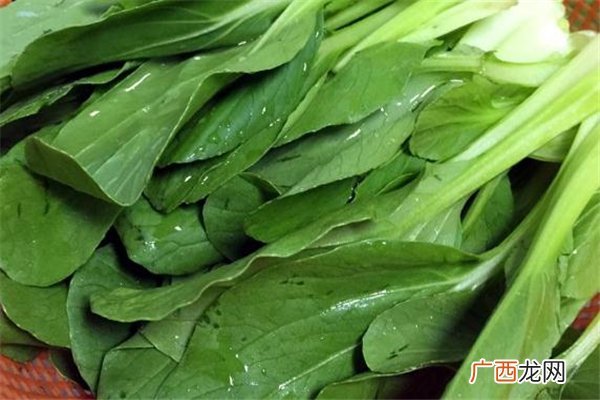 孕妇能吃鸡毛菜吗 富含多种维生素