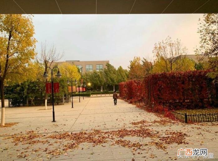 千玺背影图，易烊千玺更新ins发布他在中戏背影照
