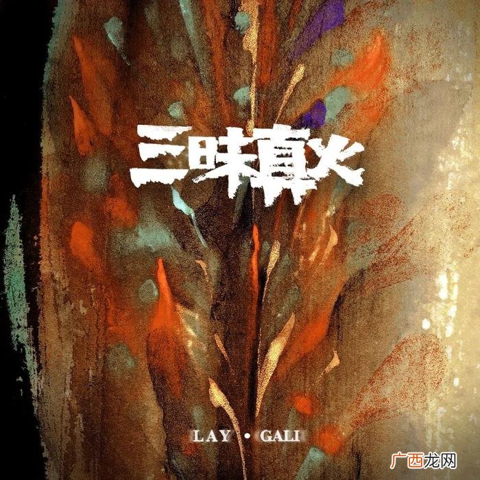 张艺兴新歌，来听听张艺兴三十岁的第一首新歌吧