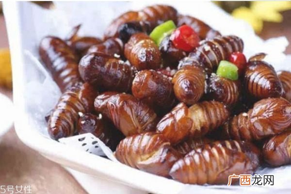孕妇能吃蚕蛹吗 孕妇吃蚕蛹的好处