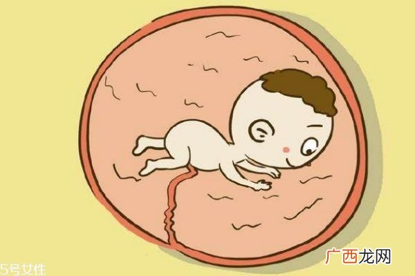 从胎动能看出男孩女孩吗 别再相信这个啦