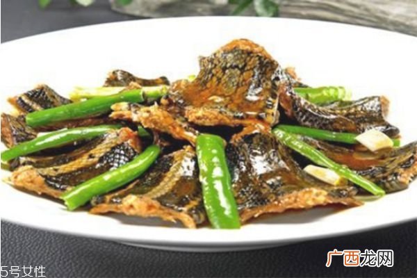 孕妇可以吃蛇肉吗 孕期准妈妈饮食禁忌注意事项
