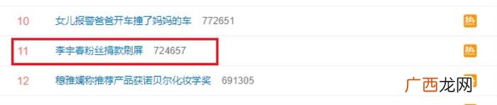 李宇春粉丝，李宇春粉丝为偶像庆生捐款108万
