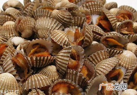 血蛤孕妇能吃吗 孕妇吃血蛤注意事项