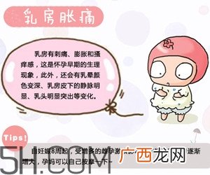 怀孕了应该如何调理？怀孕了如何根据体质调养？