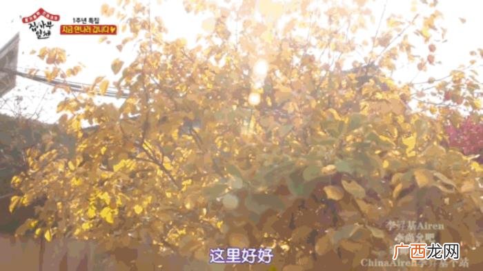 孙艺珍豪宅，Angelababy、张梓琳、孙艺珍的豪宅曝光