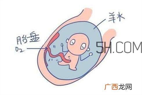 怎么防止羊水早破？羊水早破的危害