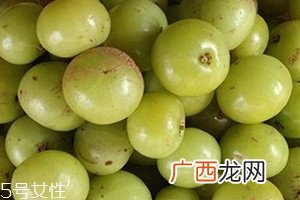 油柑孕妇可以吃吗 油柑怎么吃