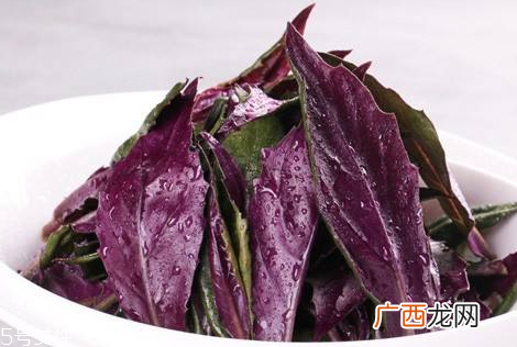 观音菜孕妇能吃吗 孕妇吃观音菜的好处