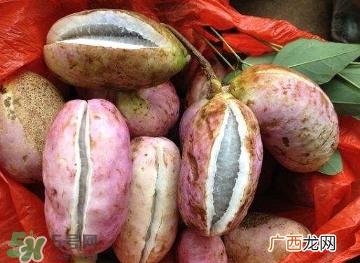 八月瓜孕妇能吃吗？八月瓜的功效与作用