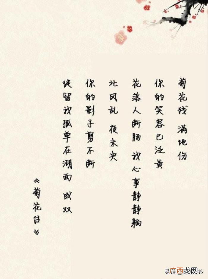 周杰伦词曲，周杰伦创作10首脍炙人口的经典中国风词曲