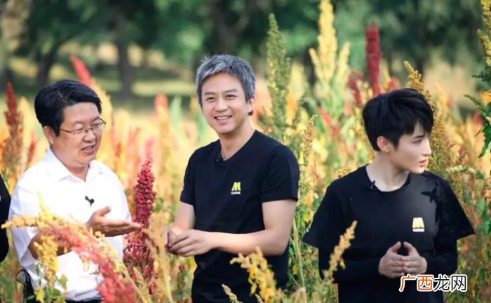 邓超的白发，邓超满头白发比65岁的成龙大哥还显老