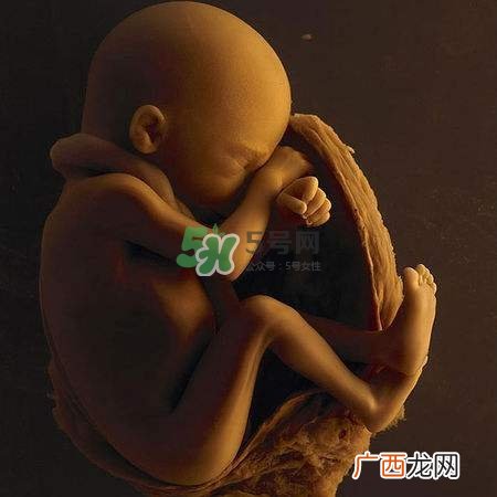 脐带绕颈是什么意思？脐带绕颈两周怎么纠正？