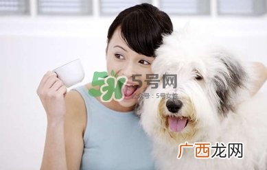 孕妇能养狗吗?孕妇养狗注意事项