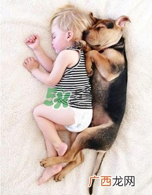 孕妇能养狗吗?孕妇养狗注意事项