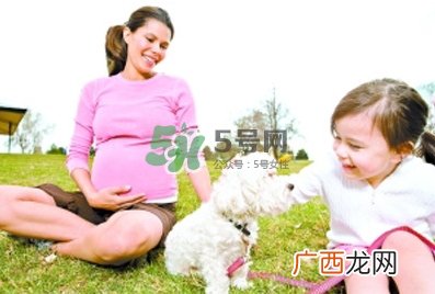孕妇能养狗吗?孕妇养狗注意事项