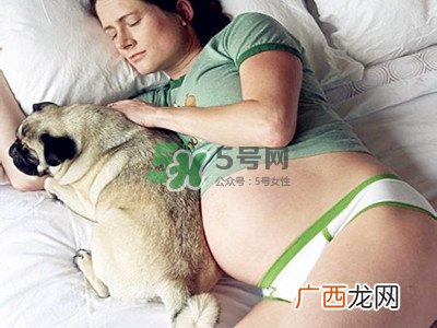 孕妇不能养宠物吗？为什么孕妇不能养宠物？