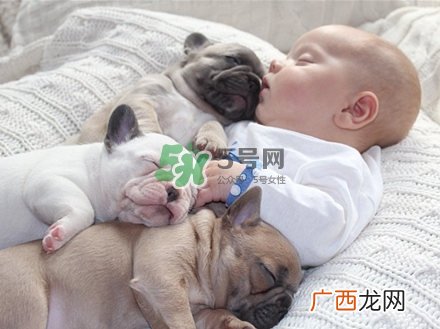 孕妇不能养宠物吗？为什么孕妇不能养宠物？