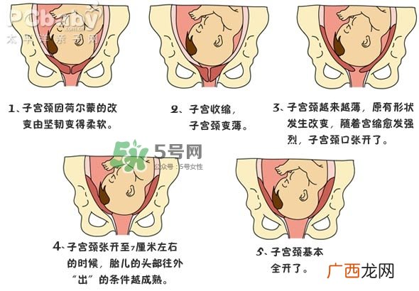 生孩子的过程是怎样的？生孩子的真实过程