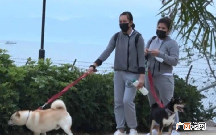 港星关之琳,知名港星关之琳雇两个保姆专门遛狗