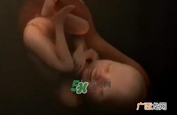 怀孕初期怎么保胎？阴道出血是流产征兆吗？