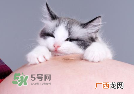 孕妇被猫抓了怎么办？孕妇被猫抓伤了对宝宝有什么影响？