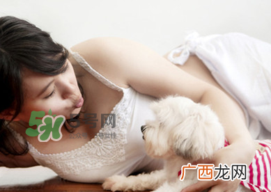 狗对孕妇的危害有哪些?狗对孕妇有影响吗?