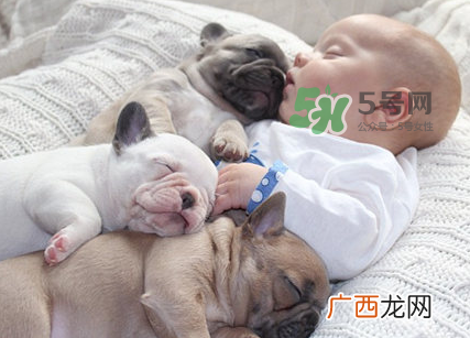 狗对孕妇的危害有哪些?狗对孕妇有影响吗?