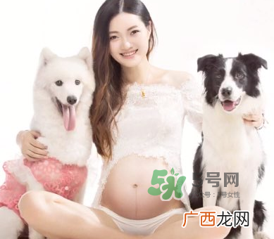 狗对孕妇的危害有哪些?狗对孕妇有影响吗?
