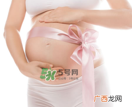 家里有宠物狗对孕妇好吗？怀孕了家里有宠物要紧吗？