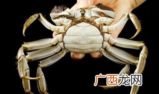 鸡汤能和螃蟹一起吃吗 鸡汤能和螃蟹可以一起吃吗