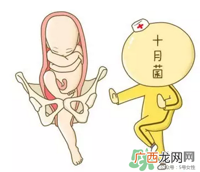 胎位不正能顺产吗？胎位不正怎么办？