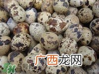 孕妇吃鹌鹑蛋会长斑吗？孕妇吃鹌鹑蛋好还是鸡蛋好？