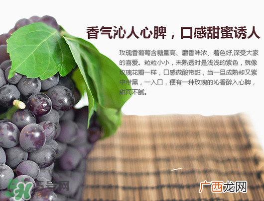 玫瑰香葡萄孕妇能吃吗？孕妇可以吃玫瑰香葡萄吗？