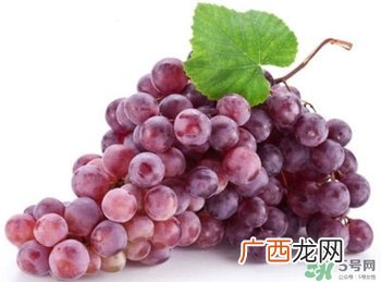 孕妇吃葡萄可以吃皮吗?孕妇吃葡萄宝宝眼睛大