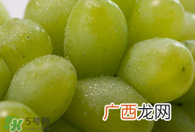 青提孕妇可以吃吗？孕妇可以吃青提子吗？