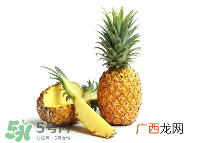 孕妇能吃菠萝吗？菠萝孕妇能不能吃？