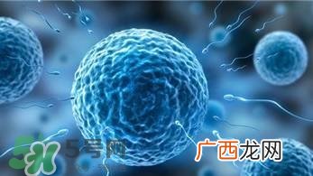 怎么问医生胎儿性别？医生会告诉胎儿性别吗？