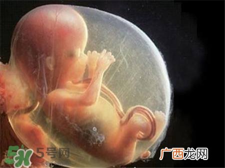 怀孕四个月需要做什么检查？怀孕四个月胎儿图