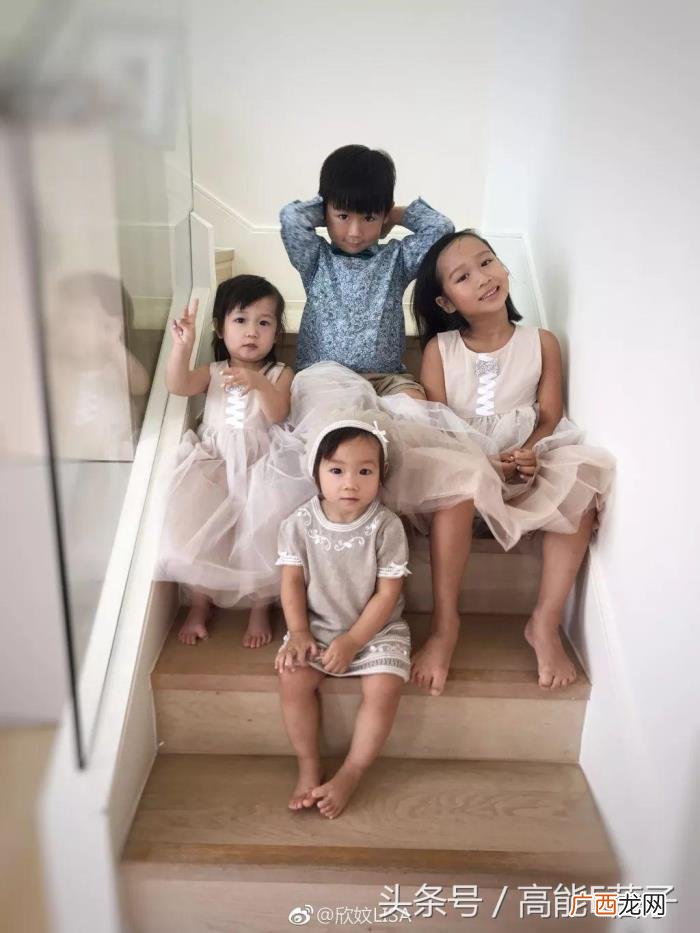 陈浩民老婆，陈浩民老婆蒋丽莎回应五年剖腹产四胎